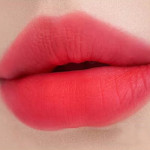  ROM&ND Тинт матовый blur fudge 10 tint fudge red, 5 г