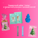  ПОДАРОЧНЫЙ НАБОР Cica 500